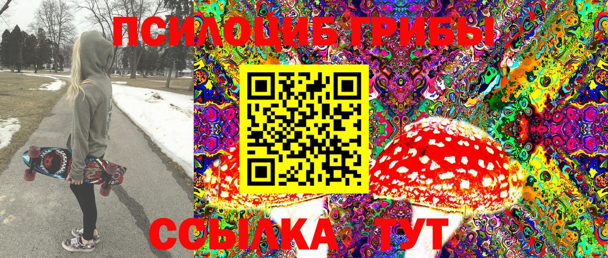 Псилоцибиновые грибы MAGIC MUSHROOMS  Вход с VPN  Медногорск  Галлюциногенные грибы Cubensis 